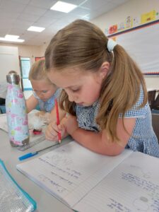 When learning about sedimentary, metamorphic and igneous rocks, Year 3 used chocolate to illustrate how they're formed over time. What a fabulous, hands on experience to bring their learning to life!