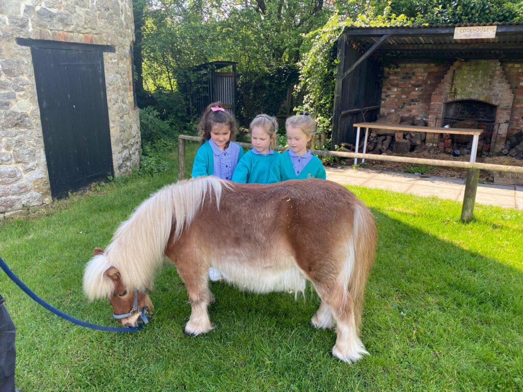 Three young girls from Years 1 and 2 are pictured stroking Pony during a school trip to Kent Life.