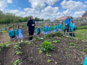 A group of nine pupils and two members of staff are pictured stood looking at a plant bed, during a Year 1 and 2 school trip to Kent Life.